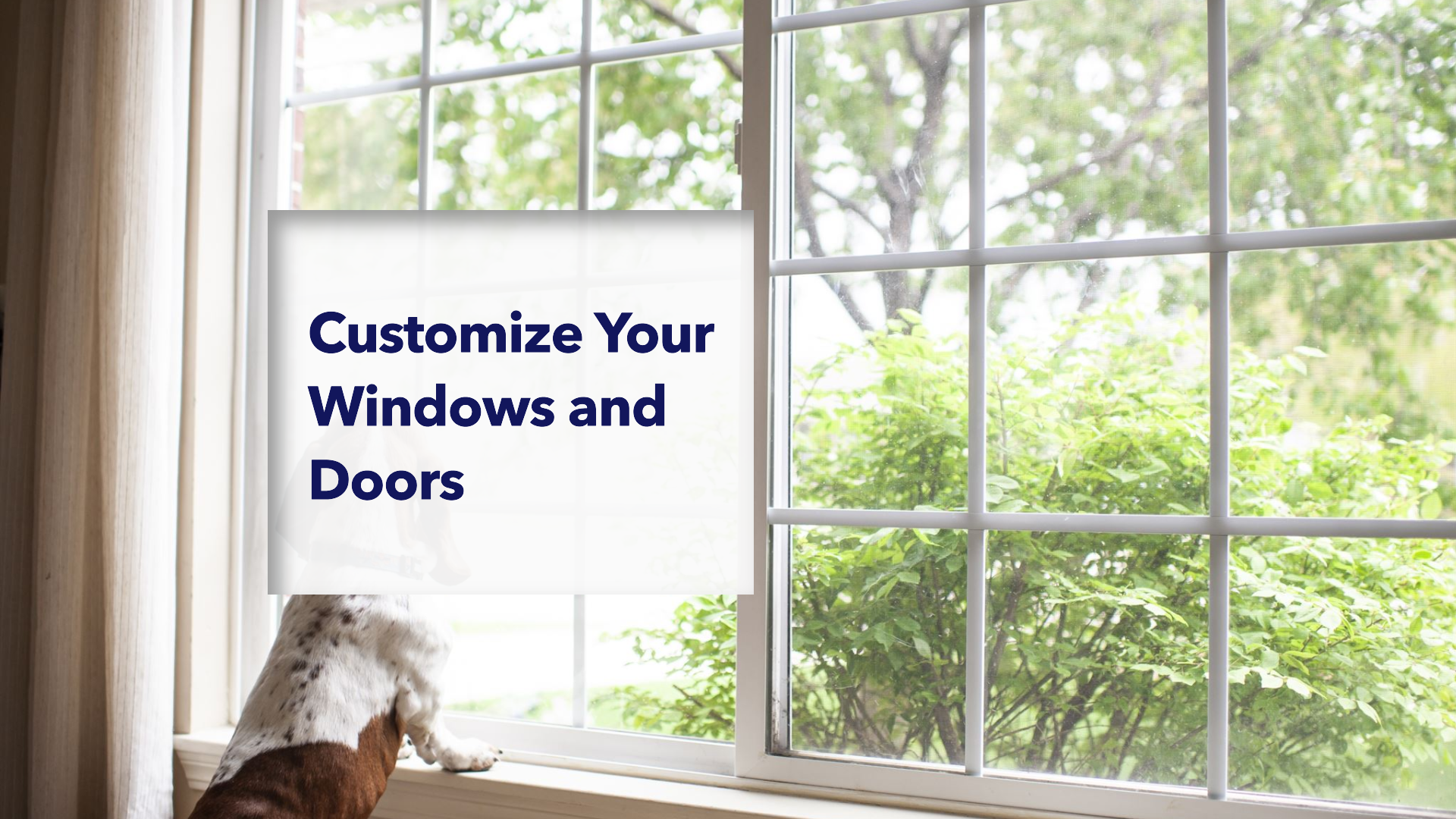 customize-your-windows-and-doors